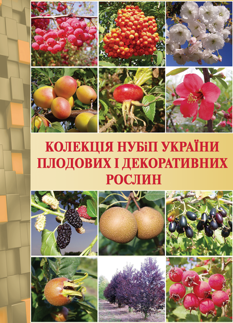 Колекція НУБіП України плодових і декоративних рослин